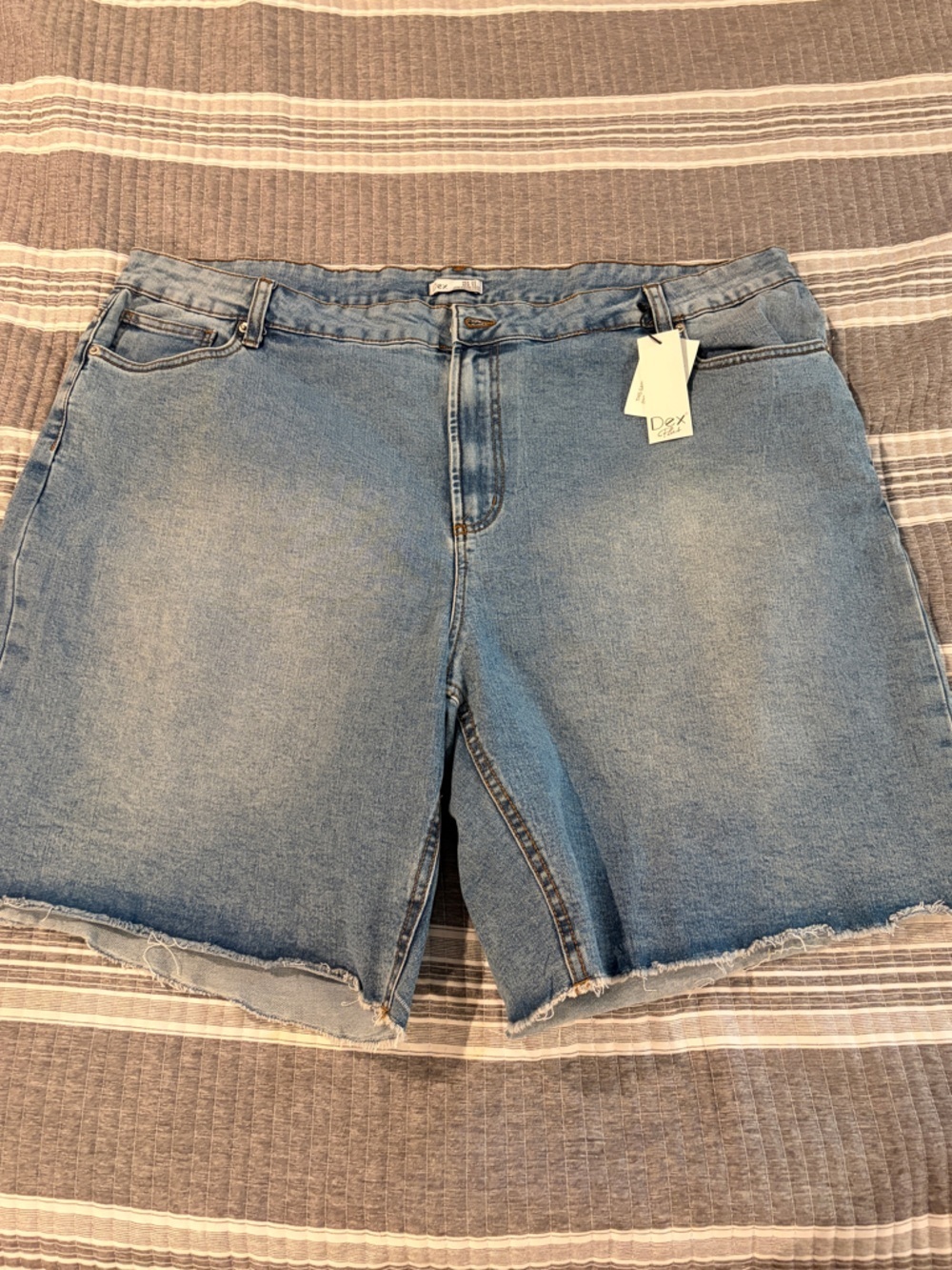 Dex Light Blue Boyfriend Denim Shorts Women’s Plus Size 22W